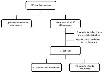 Heart Rate Variability and Clinical Features as Predictors of Atrial Fibrillation Recurrence After Catheter Ablation: A Pilot Study